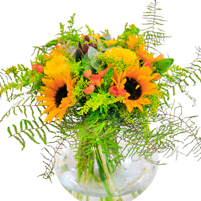 With its bright sunflowers and plush yellow garden roses, this exuberant bouquet captures the sun-drenched mood of Harold Park in high summer. Each sunflower radiates warmth from its deep brown core, the surrounding gold-peach petals seeming to emit light against a backdrop of crisp white. The roses beside them offer an elegant contrast, their creamy blooms opening in tight swirls, reminiscent of the classic gardens dotted around Harold Park's quieter streets. Slender stems of red Hypericum berries add festive brilliance, their glossy surfaces glinting among the soft, velvety flower heads and the variety of greens. The bouquet brims with texture: fine, feathery ferns, billows of light green solidago, and fresh eucalyptus, each playing a part in the movement and depth of the arrangement-like sunlight shifting through Leaves Green or along the edge of Central Park Bridge. Each element is thoughtfully gathered in a modern, clear glass fishbowl vase, where the tangle of stems creates a living web of green in water. Up close, the interplay of textures and scents reveals the care of a local florist's hand, one attuned to the beauty and changing seasons found throughout Harold Park. This bouquet sings with possibility and is perfect for birthdays, milestones, or simply to brighten a home with joyful colour and natural grace.