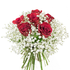 Capturing an understated yet profound elegance, this hand-crafted bouquet reflects a tradition of romance cherished by Harold Park residents. Six full-bloom red roses, their petals a deep and inviting crimson, are arranged in a flawless spiral that beckons with natural grace. These radiant flowers emerge amidst a voluminous halo of pure white baby's breath, their feathery blooms floating like morning mist above the River Ingrebourne. The painterly contrast between crimson and white evokes both passion and serenity, each amplifying the other's beauty in a perfect floral duet. Below, the stems are gathered with precise craftsmanship, displaying the vibrancy and life of freshly-picked flowers ready for delivery along Harold Park's quiet lanes. This bouquet's gentle fragrance and tactile richness lend it a special significance, making it ideal for moments of deep affection-be it a milestone celebration, a heartfelt apology, or a declaration of love. Envisage its presence on a dining table overlooking Langtons Gardens, elevating the everyday with its soulful allure and Harold Park's unique local spirit.